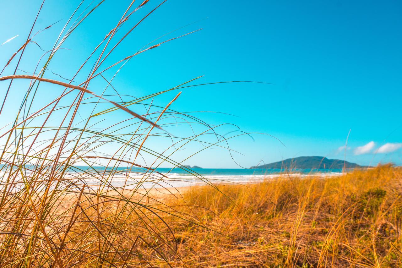 Apto Na Praia Do Ingleses フロリアノポリス エクステリア 写真